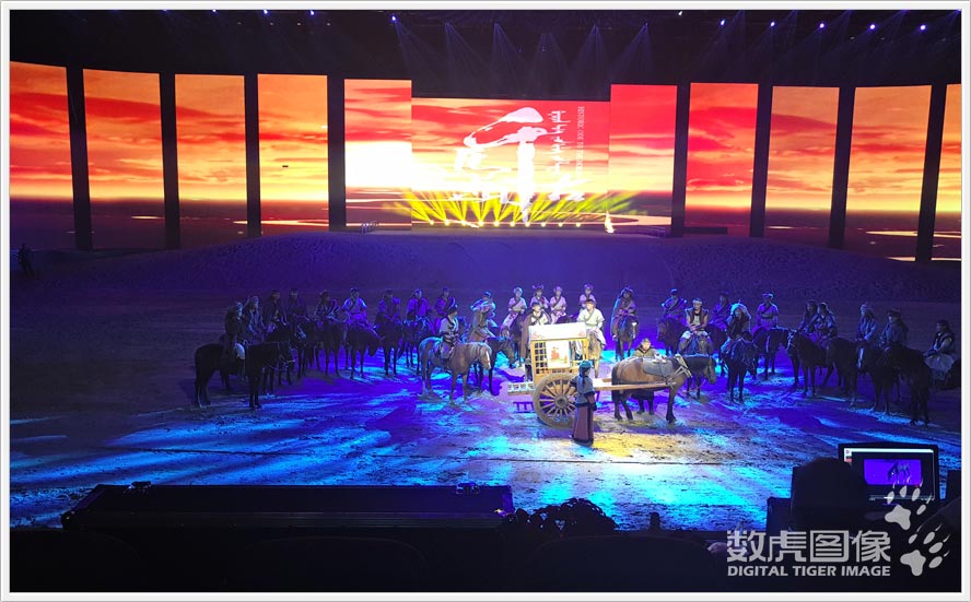 大型马文化全景式综艺演出《千古马颂》 舞台演出 数虎图像